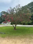 Cozy 1br 1bath with Full Kitchen in Hattiesburg