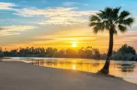 Classy River Oasis Hotels in Ehrenberg