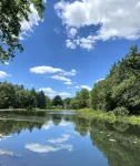 Whispering Creek Lodge  - Water views from every window