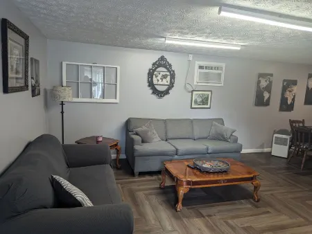 Relaxing apartment in Dandridge