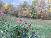 Coquet Appartement au Calme