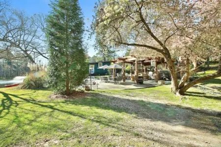 Cozy Cottage Nestled on Waters Edge