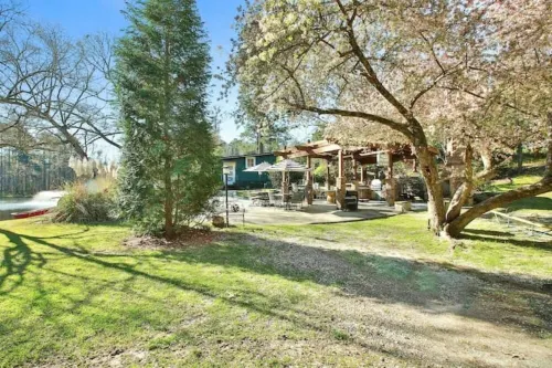 Cozy Cottage Nestled on Waters Edge