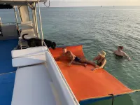 Living the Dream Key West Style 키웨스트 열대우림 식물원 주변 호텔