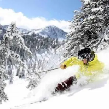 Hidden Gem! Swiss Cottage Ski Chalet