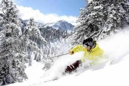 Hidden Gem! Swiss Cottage Ski Chalet