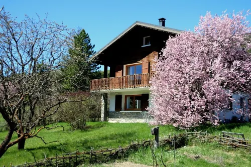 STUDIO with wooden terrace in chalet