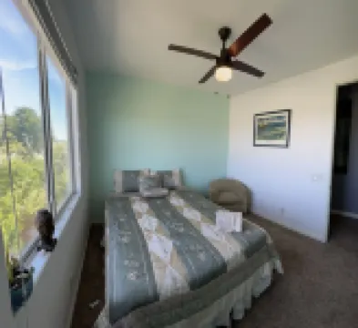 Paradise 4 BRM VIP DRIVING ACCESS Coachella Festival