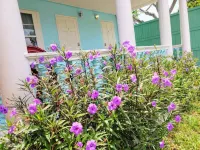 Azul Oceano Cottage Oasis 5 Min Downtown and Beach