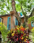 Slice of Paradise: Tropical Studio in Downtown Historical River District Hotels near Tropical Hardware DO It Best
