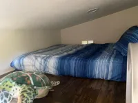 In the heart of the Redwood Forest