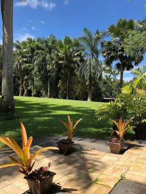 Royal Palm Cottage/5 mins from beach/Akaka Falls/Private Lanai Hāmākua Forest Reserve 주변 호텔