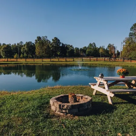 Tiny Cabin At The Pond