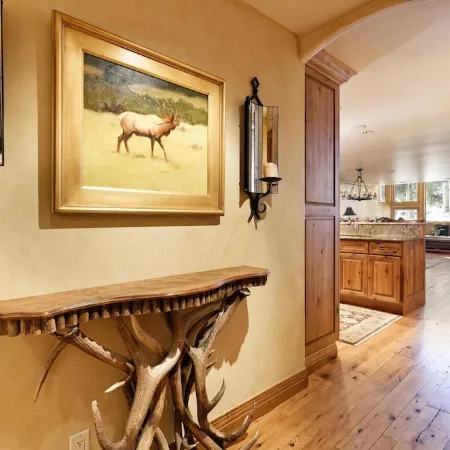 Pet Friendly & Luxurious 3 bedroom Aspen Condo