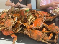 Lottsburg's Landing - Your Waterfront Escape on Wrights Cove