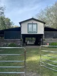 Private Loft at a Working Show Barn ~ Pets Welcome!