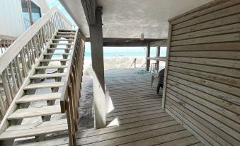 Pet Friendly on the Beach Paddle - 0223e12000i6fo4ue156F R 339 206 R5 D 