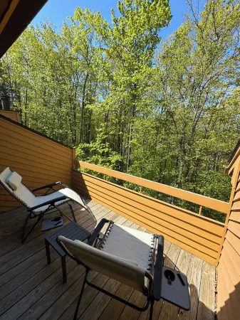 Valleys Chalet - Harbor Springs/Petoskey Condo