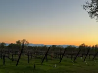 Beautiful 35-Acre Redding Vacation Rental! Hotels in Junction