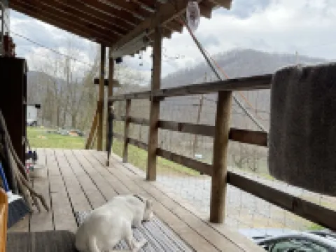 Cozy with spectacular views, easy access to I-64, and each end of the NRGNP Hotels in Summers County