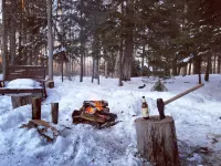 Cozy, Quiet Old Forge Getaway, just Minutes from The Fulton Chain Lakes Hotels in Webb