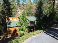 Upscale & Beautiful spacious cabin near Twain Harte with a/c