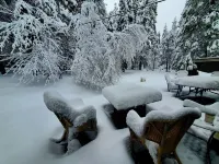 Cozy Cabin 40 mins to Kirkwood, 15 to Wineries, 5 to shopping, 1 mile off hwy88.