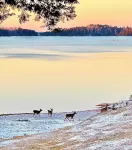 Beautiful villa on Lake Hartwell, stunning views, large deck for family to enjoy