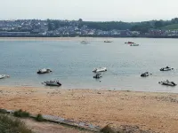 Badgers nestled in a cozy corner of the park
