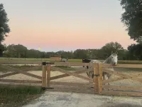 Cute cottage on 85-Acre horse farm