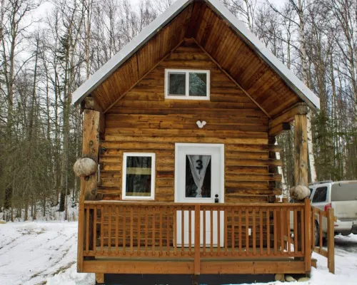 Petite Cabin With Ladder Loft Hotels in Fishhook