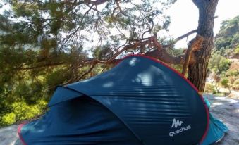 Kidrak Camping Namaste