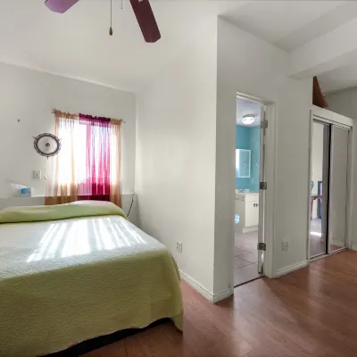 True North Motel Hotels near The Black Sheep