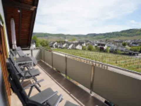 Ferienwohnung "laurentiusblick" mit Panoramablick in den Weinbergen von Leiwen Hoteles en Leiwen