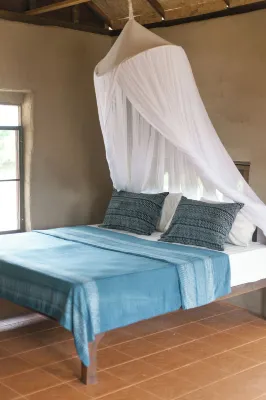 Little Forest Chiang Mai - 2-Star