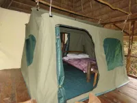 Jungle lodge Kibale Hotels near Turaco Trails