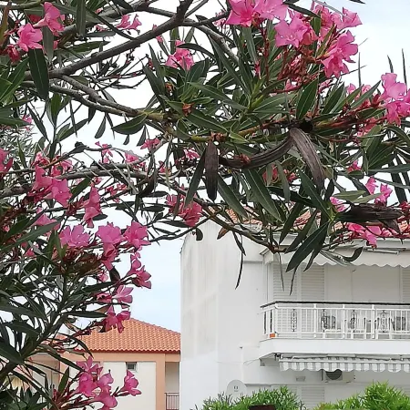 Hanioti Apartment