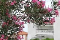 Hanioti Apartment