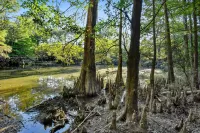 Whiskey on the River Hotel a Forrest County