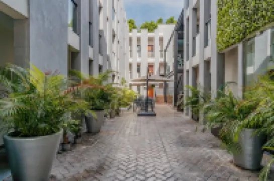 Youssef Exceptionnel Merida