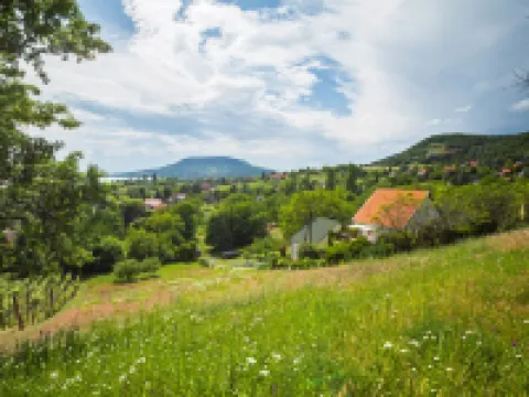 Kopacsi