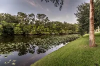 THE JUMPIN FISH HOUSE 인디언 리버 카운티 호텔