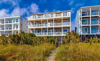 Dog friendly penthouse with oceanfront - 0223e12000khrvc35DE20 R 339 206 R5 D