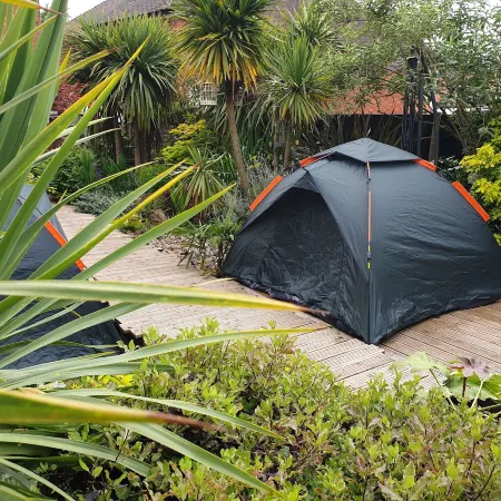 Tropical Garden Oasis Rooms