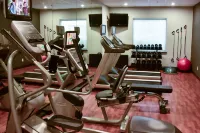 Holiday Inn BROWNSVILLE by IHG - Kuntosalit