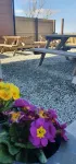 Campsite - the Ring Pub Glamping Pods Hotels in 
