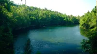 Maratua Guest House Hotels in Teluk Harapan
