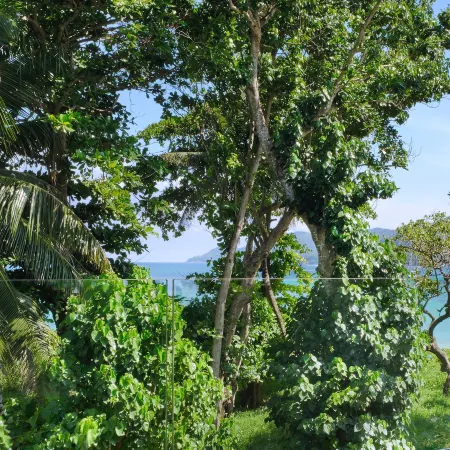 Laïla, Seychelles, a Tribute Portfolio Resort