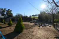 Laje da Bica Agroturismo - Villa