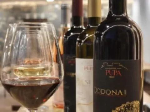 Pupa Winery Hotels in Berat
